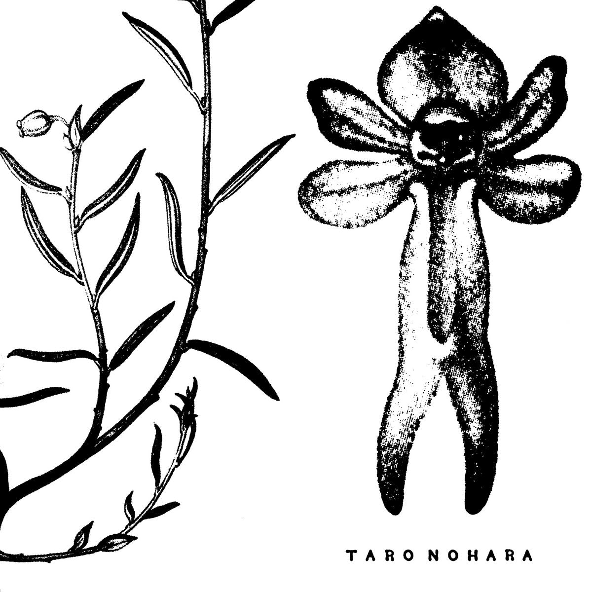 TARO NOHARA - POLY-TIME SOUNDSCAPES / FOREST OF THE SHRINE Vinyl LP