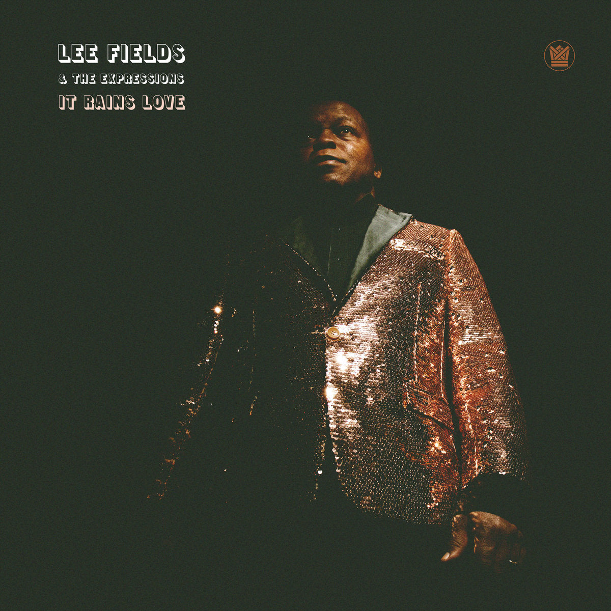 LEE FIELDS & THE EXPRESSIONS - IT RAINS LOVE Vinyl LP