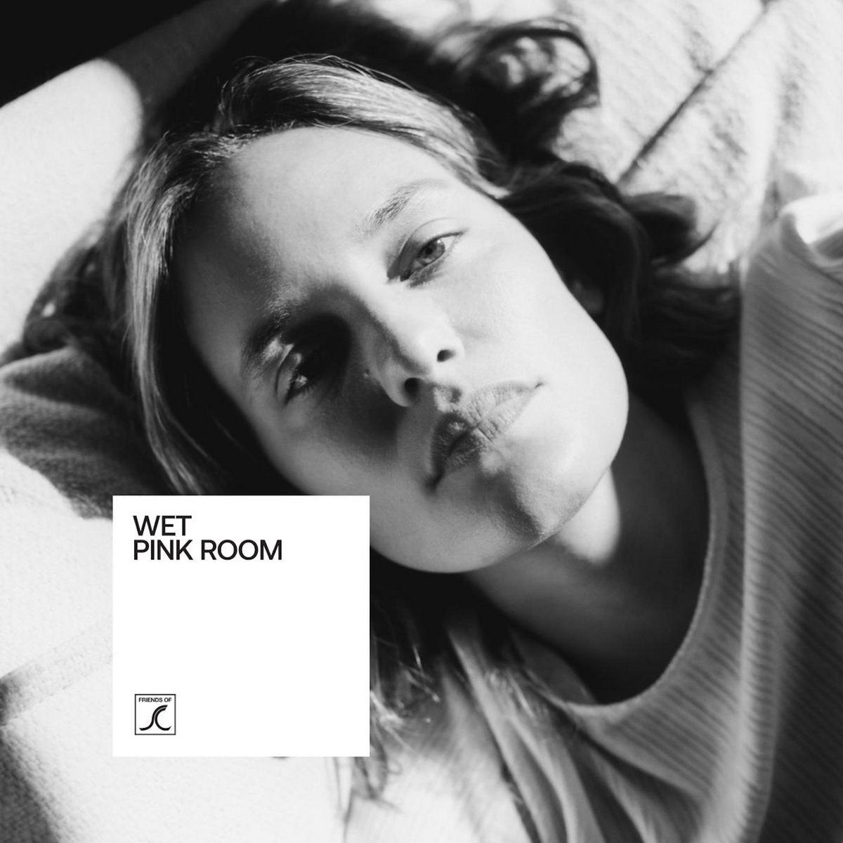 WET - PINK ROOM Vinyl LP