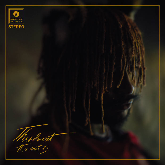 THUNDERCAT - IT IS WHAT IT IS Vinyl LP