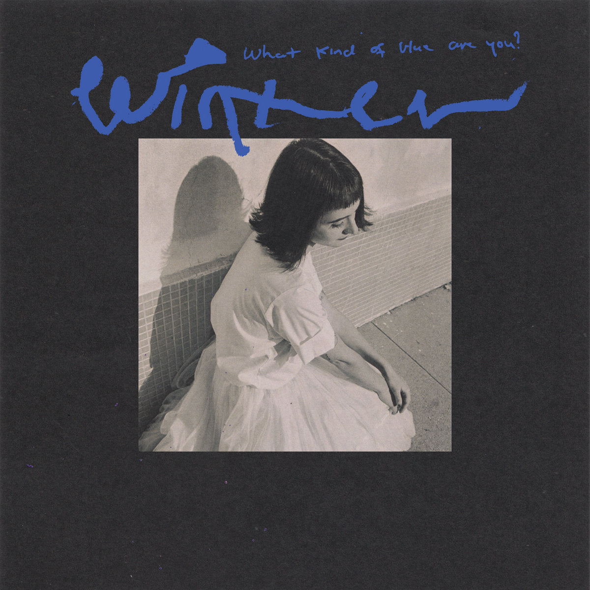 WINTER - WHAT KIND OF BLUE ARE YOU? Vinyl LP