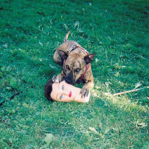 JOYCE MANOR - CODY Vinyl LP