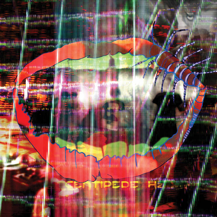 ANIMAL COLLECTIVE - CENTIPEDE HZ Vinyl 2xLP