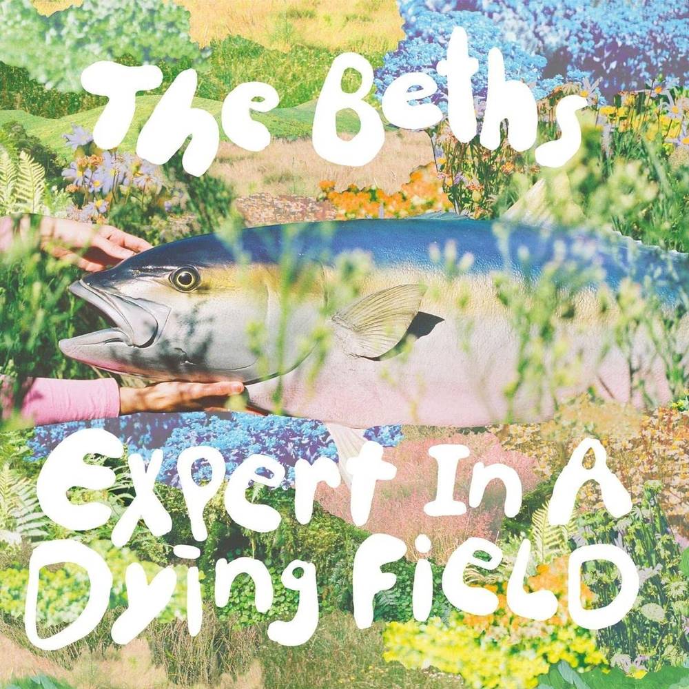 THE BETHS - EXPERT IN A DYING FIELD Vinyl LP