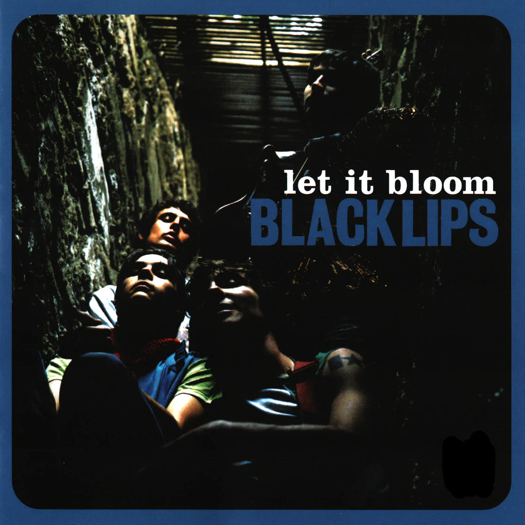 BLACK LIPS - -LET IT BLOOM Vinyl LP