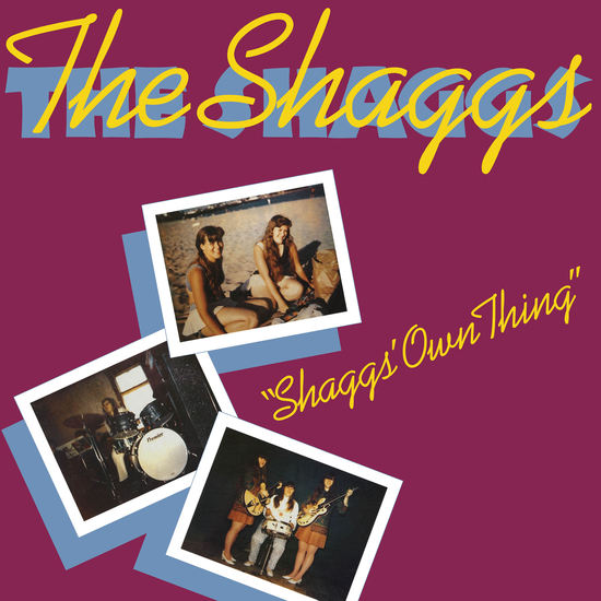 SHAGGS, THE - SHAGGS OWN THING (Colored Vinyl) LP