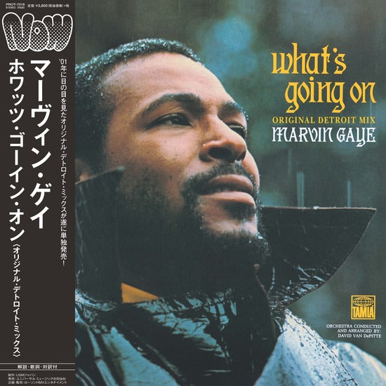 MARVIN GAYE - WHAT'S GOING ON (Original Detroit Mix) LP