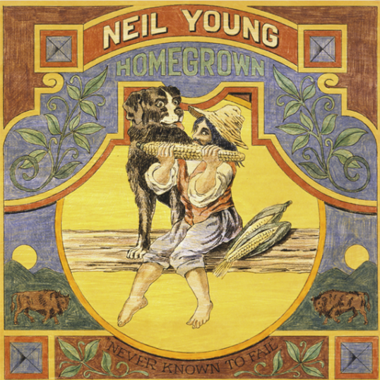 NEIL YOUNG - NEVER KNOWN TO FAIL Vinyl LP