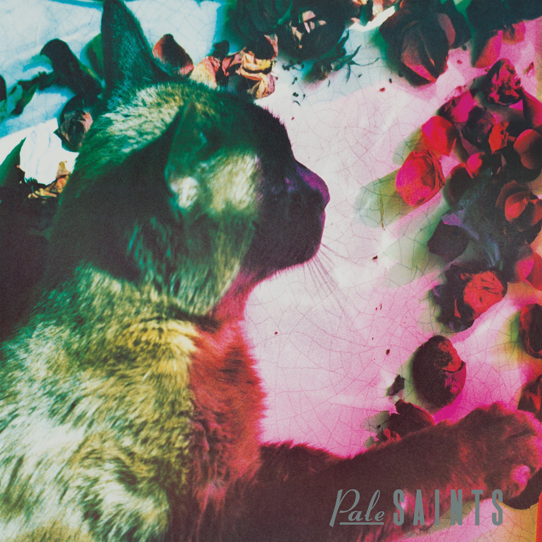 PALE SAINTS - THE COMFORTS OF MADNESS Vinyl LP