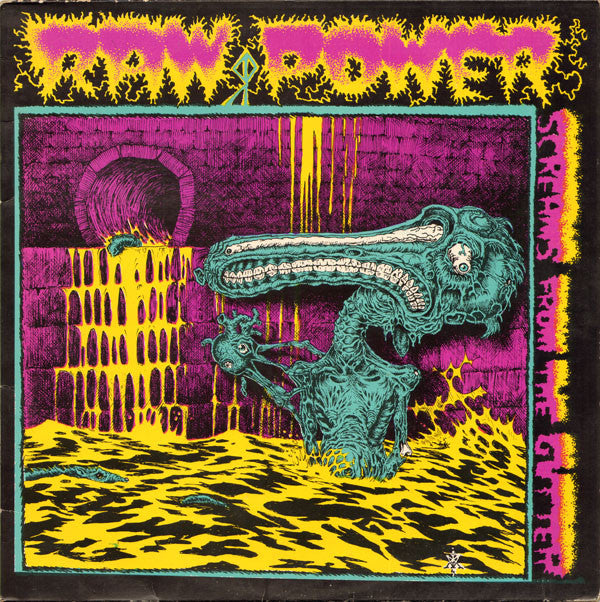 RAW POWER - SCREAMS FROM THE GUTTER Vinyl LP
