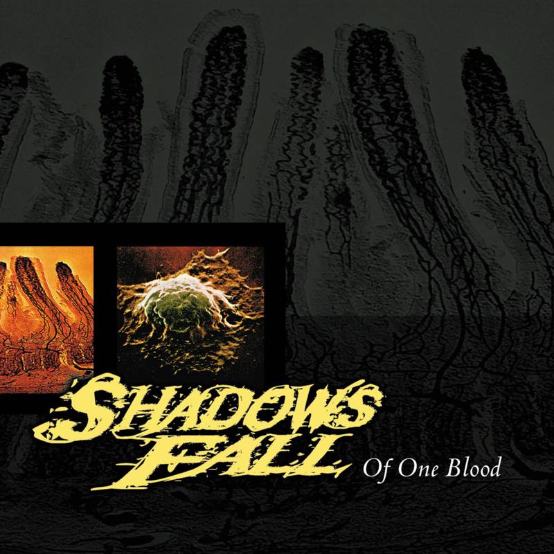 SHADOWS FALL - OF ONE BLOOD Blood Red Vinyl LP