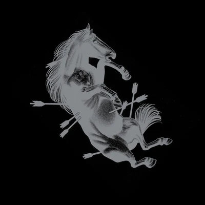 TOUCHE AMORE - DEAD HORSE X Vinyl LP
