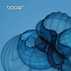 TIPPER - THE SEAMLESS UNSPEAKABLE SOMETHING Vinyl LP