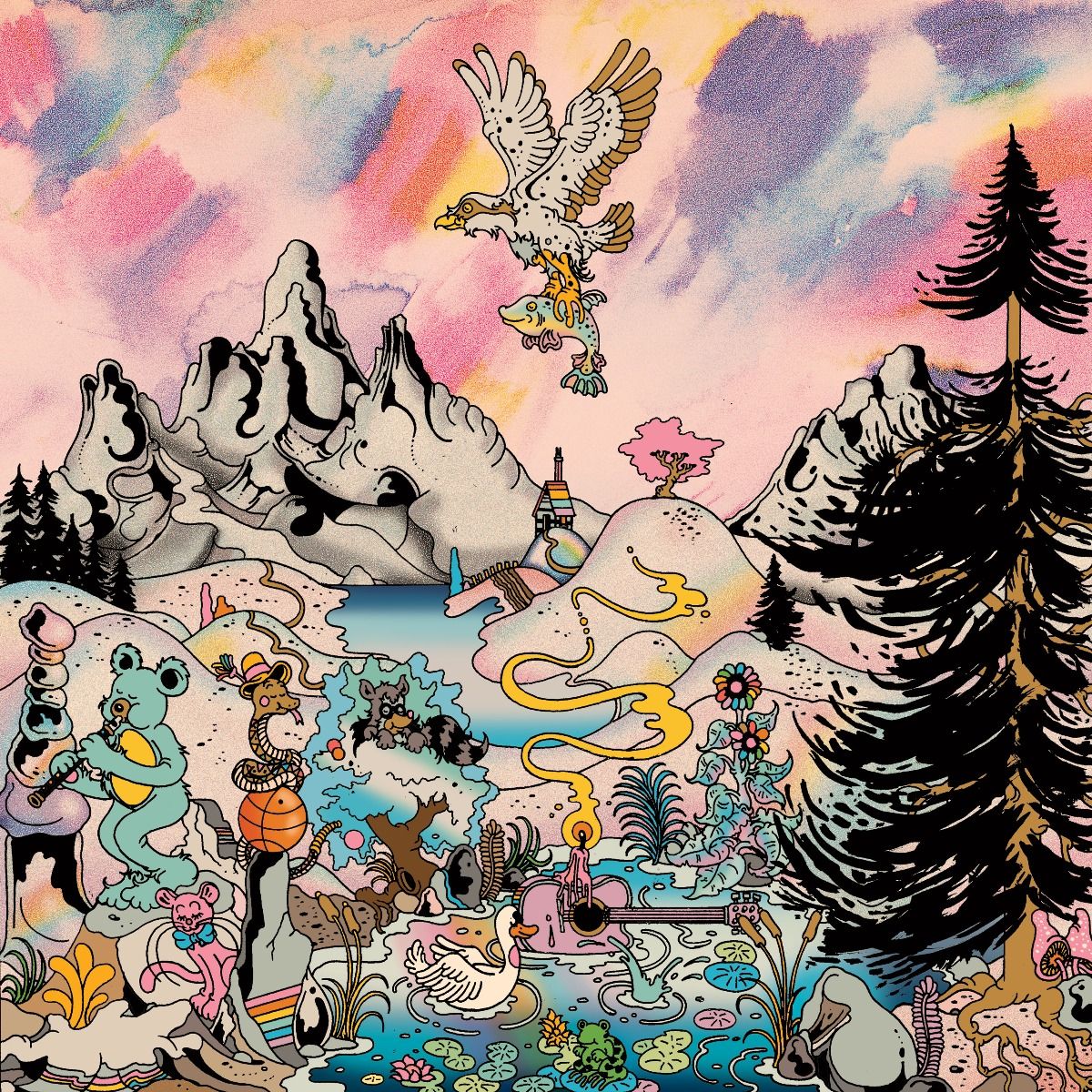 NORTH AMERICANS - ROPED IN Vinyl LP