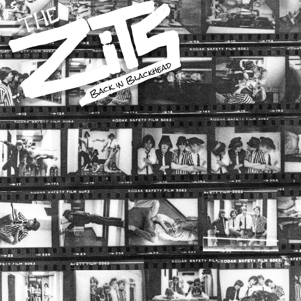 ZITS, THE - BACK IN BLACKHEAD Vinyl LP